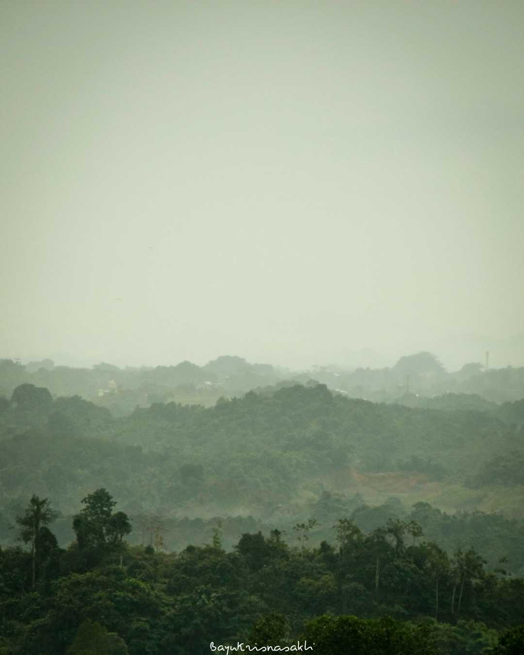 Borneo Land