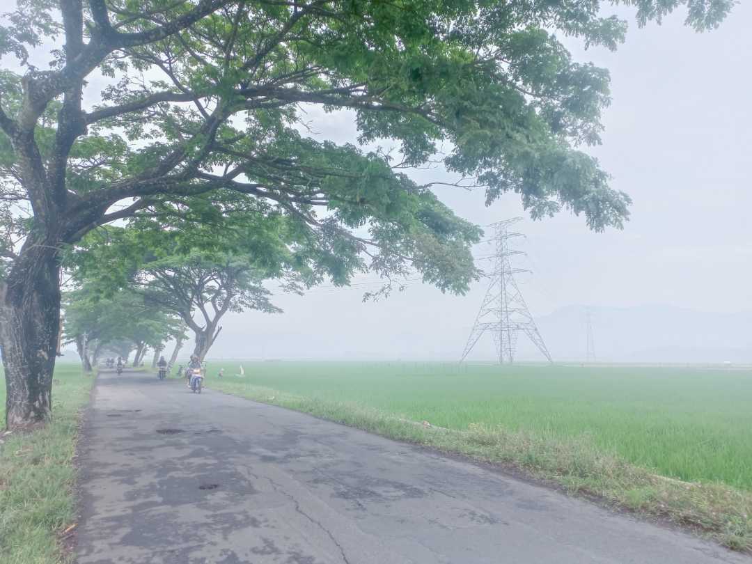 Kabut