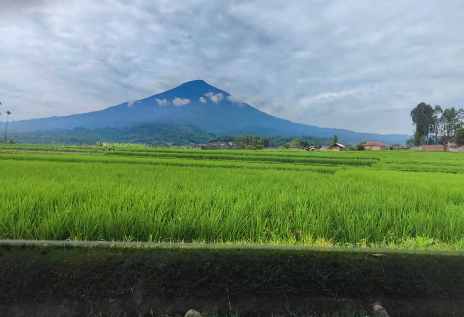 Gunung Cikuray