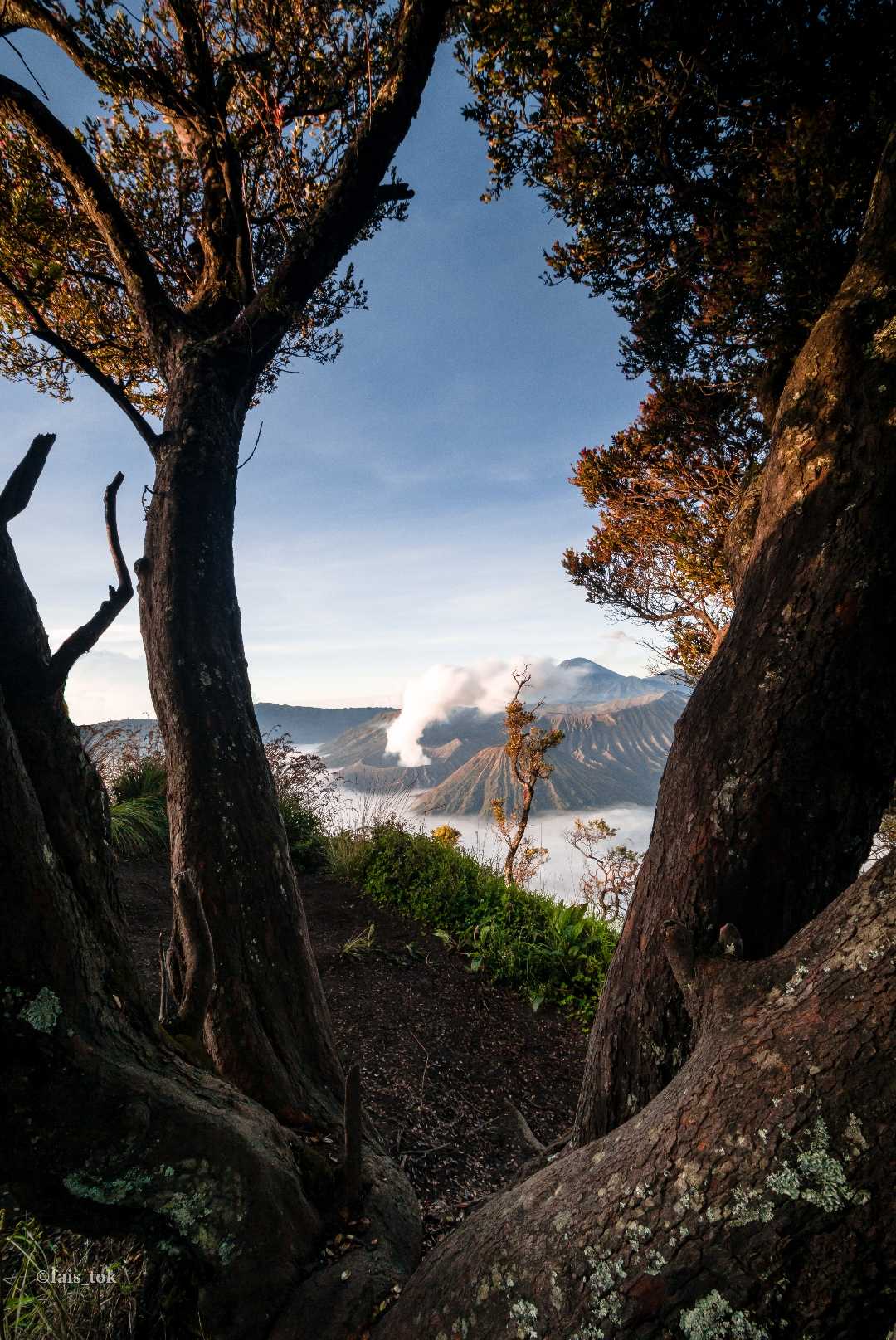 gunung bromo