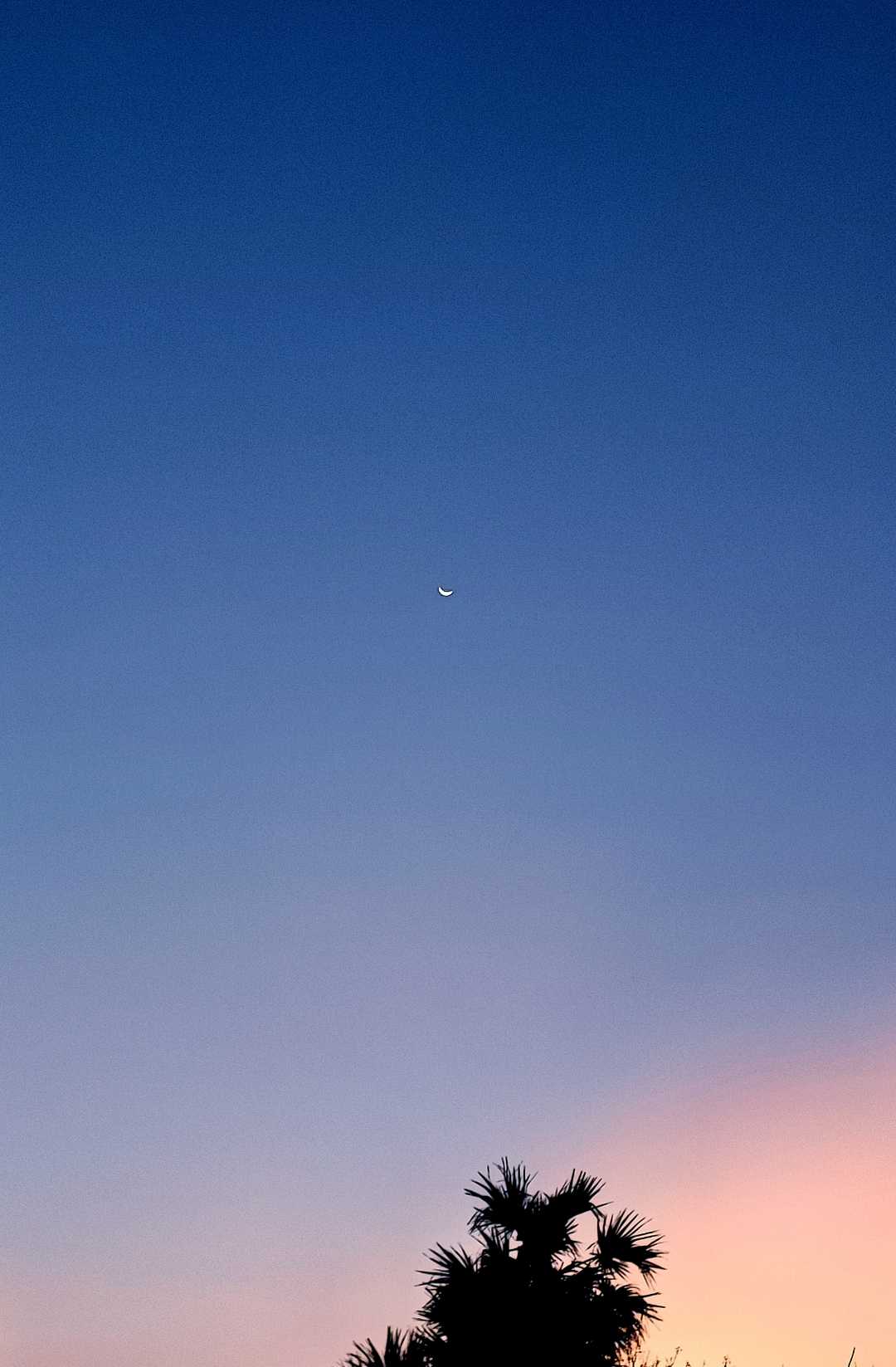 Ramzaan Moon