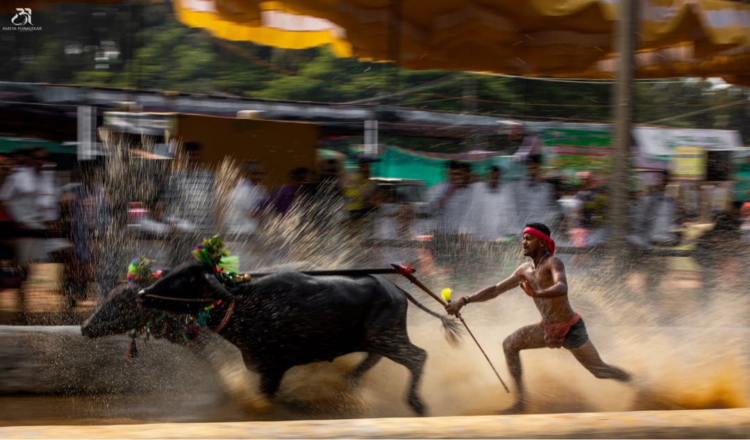 KAMBALA SPIRIT 