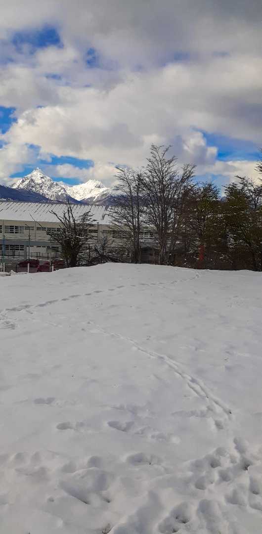 Primavera fueguina ❄