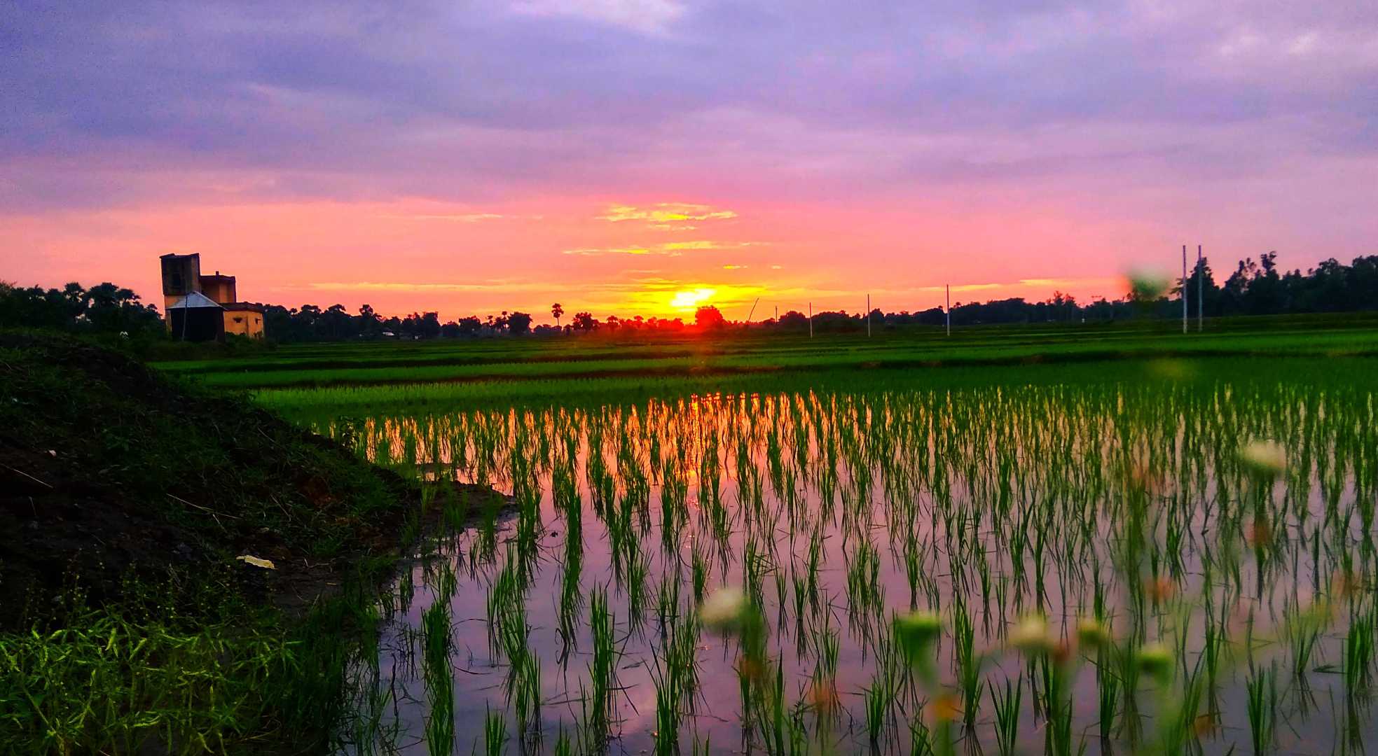 Sunset 🌅