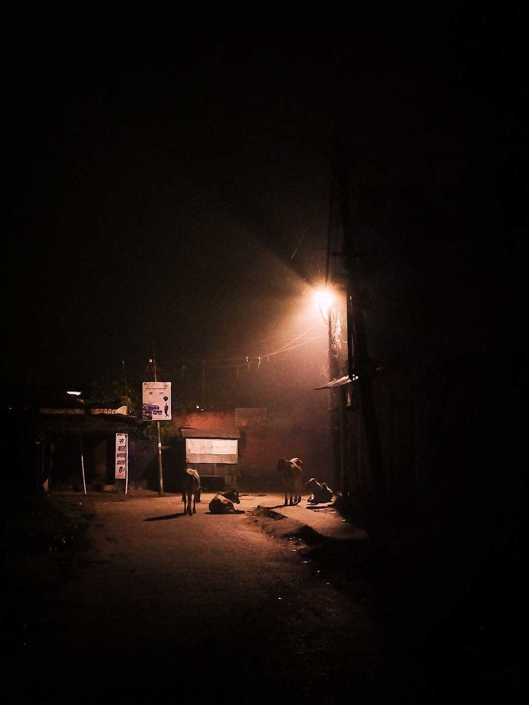 Low Light Photography 