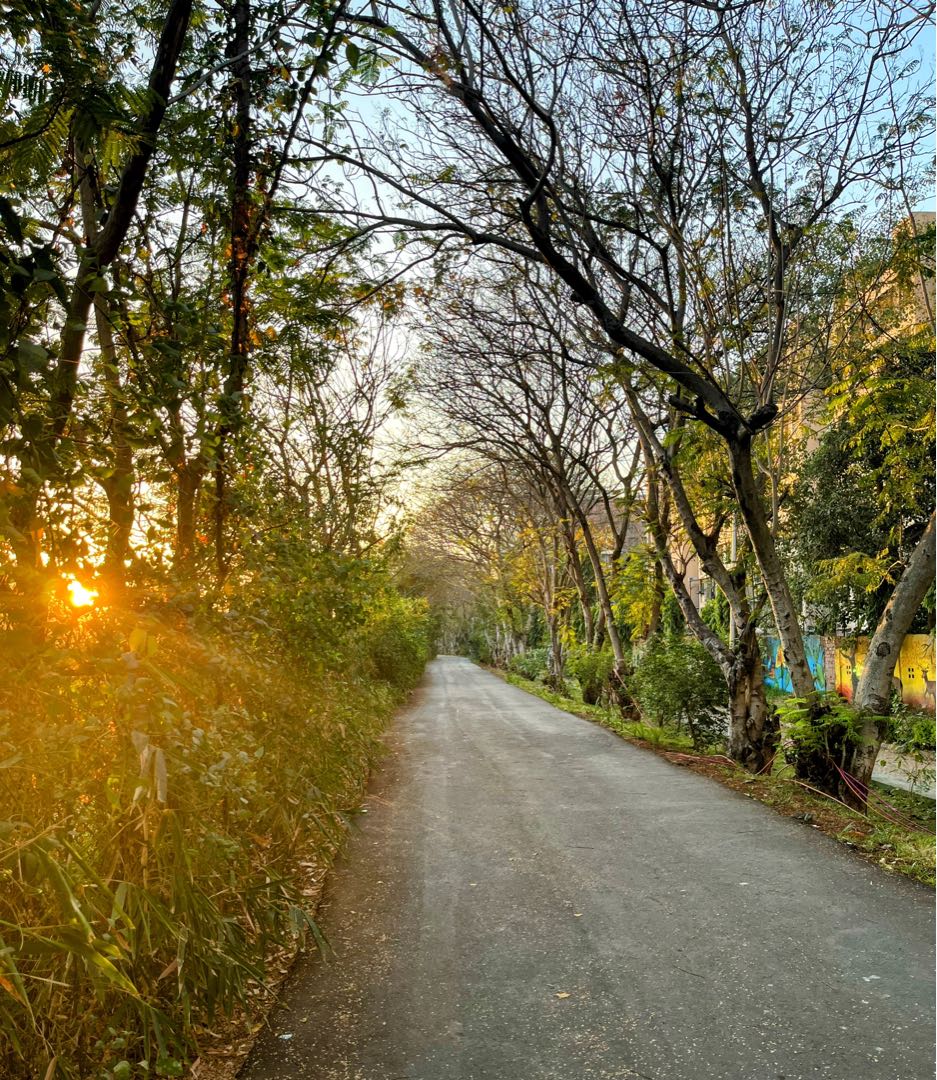 walking track