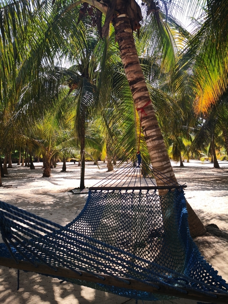 No parasol needed