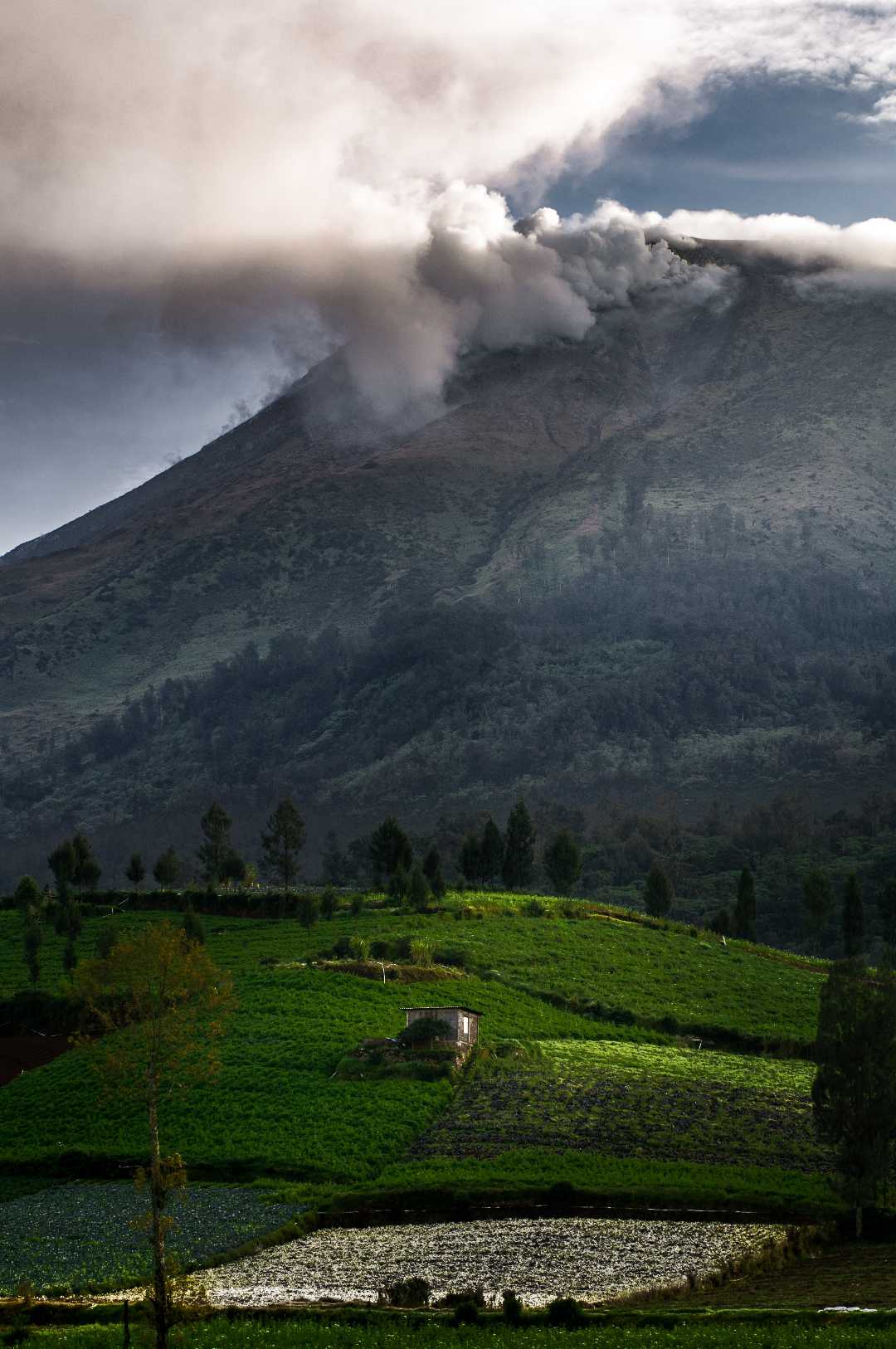 Puncak Brakseng