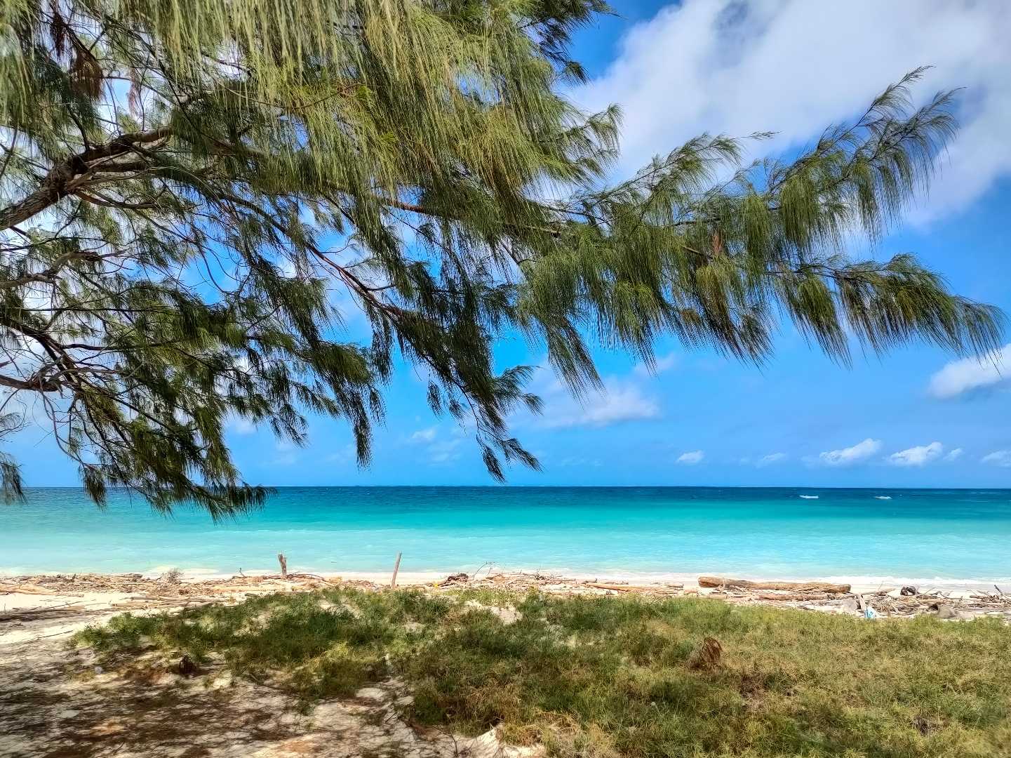 Pantai Oesosole 