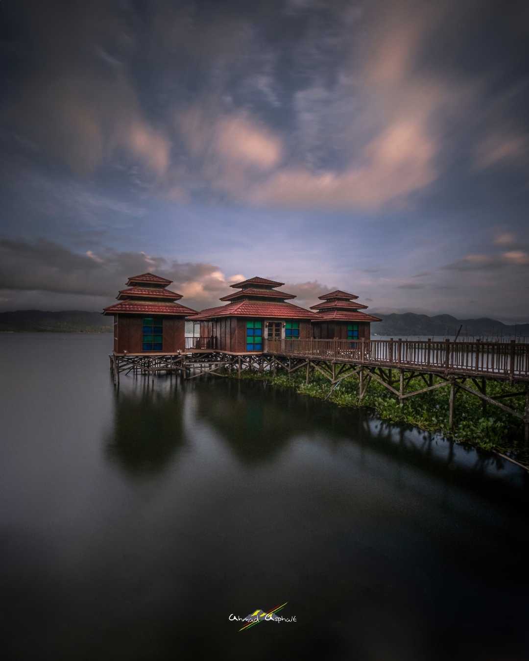 Tree House