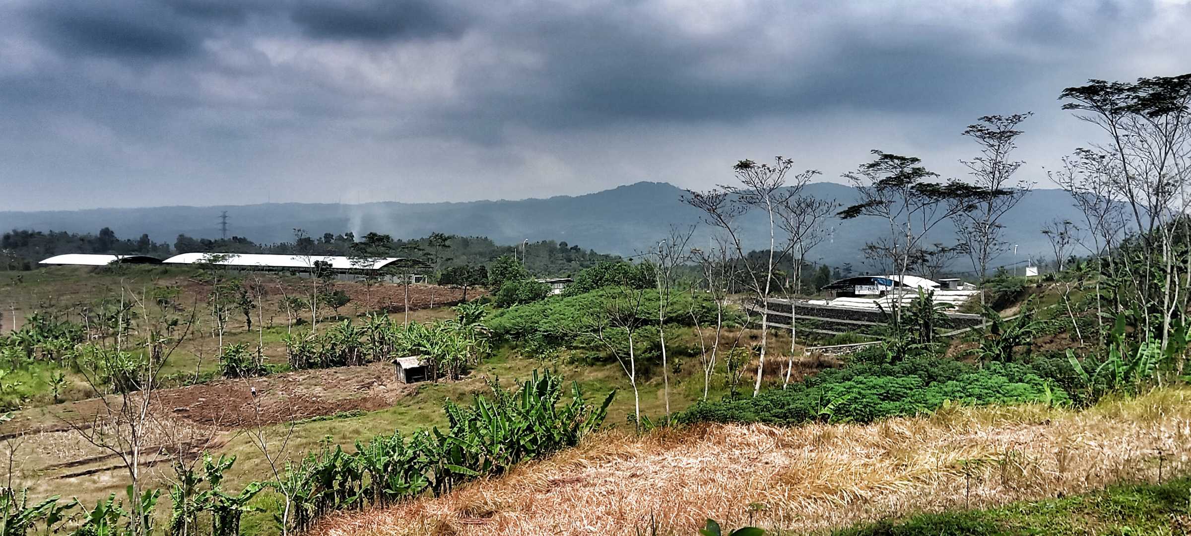 Ladang Pertanian dekat TPA BLE