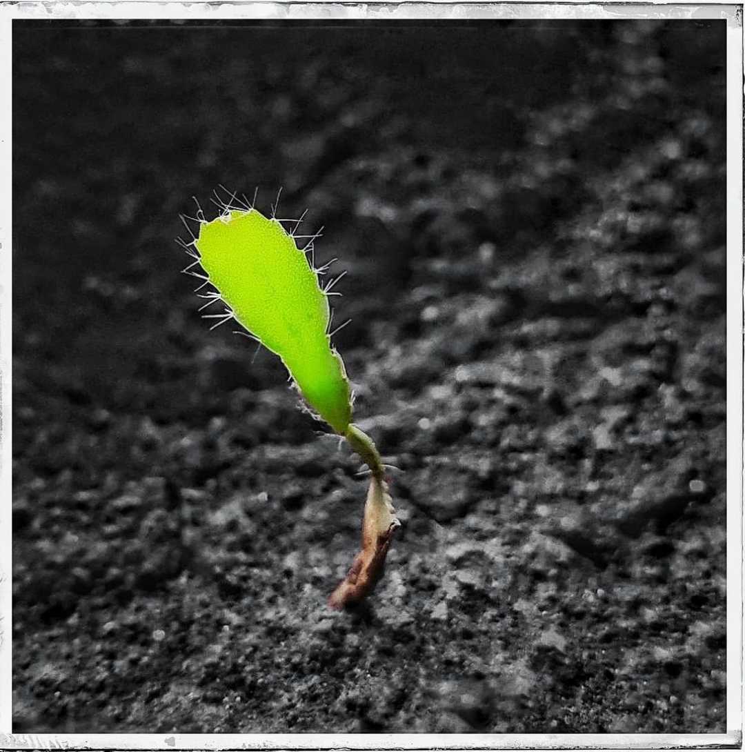 Nature never goes out of style 😎 