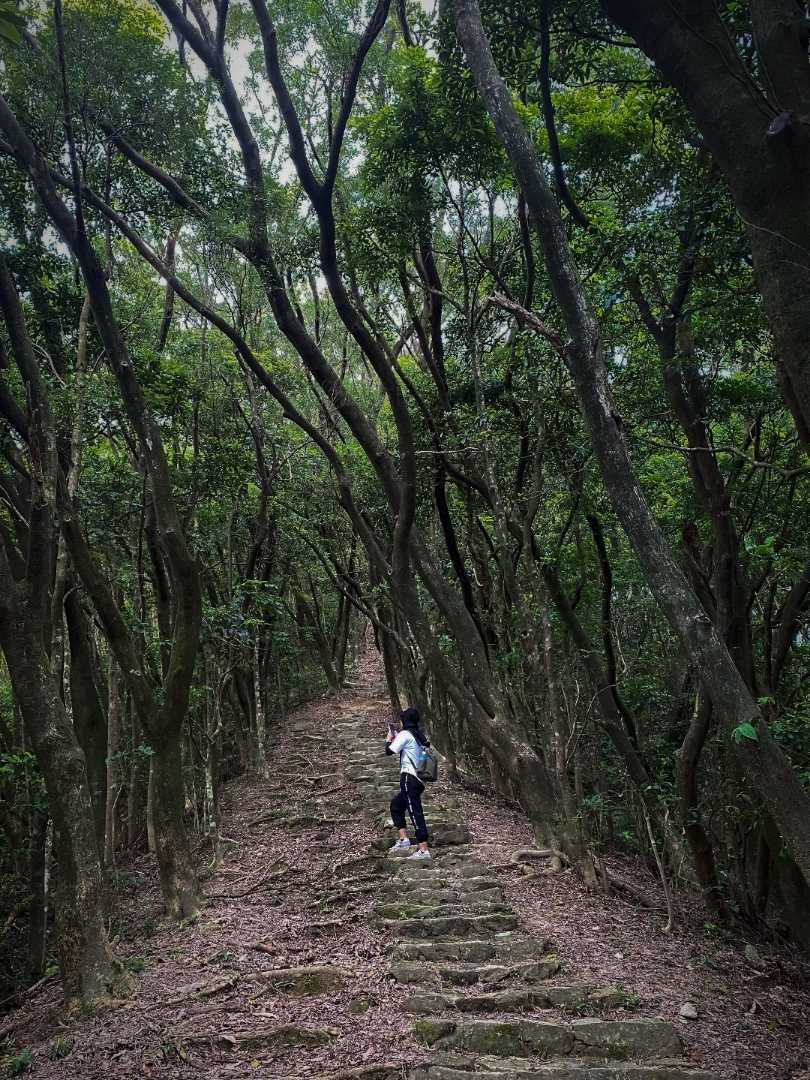📍Tai To Yan