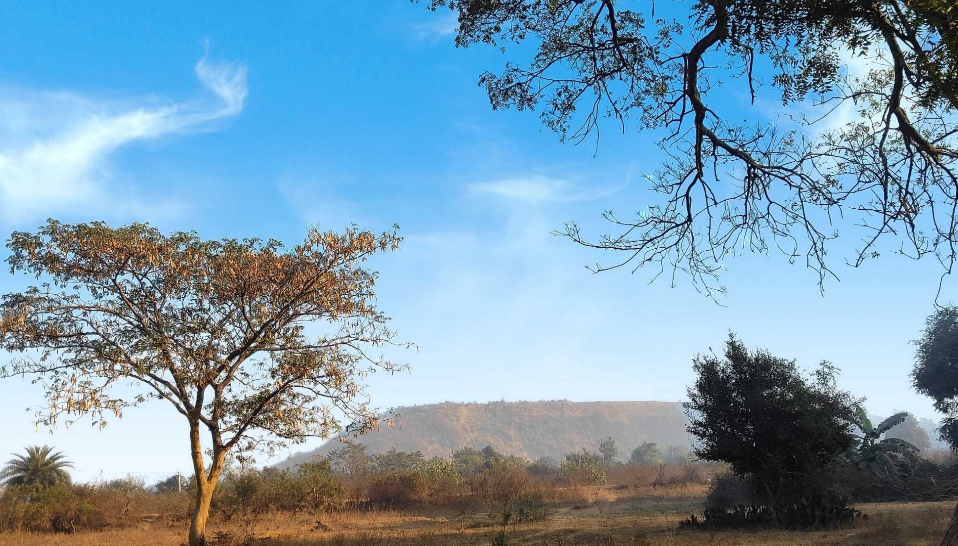 Landscape 