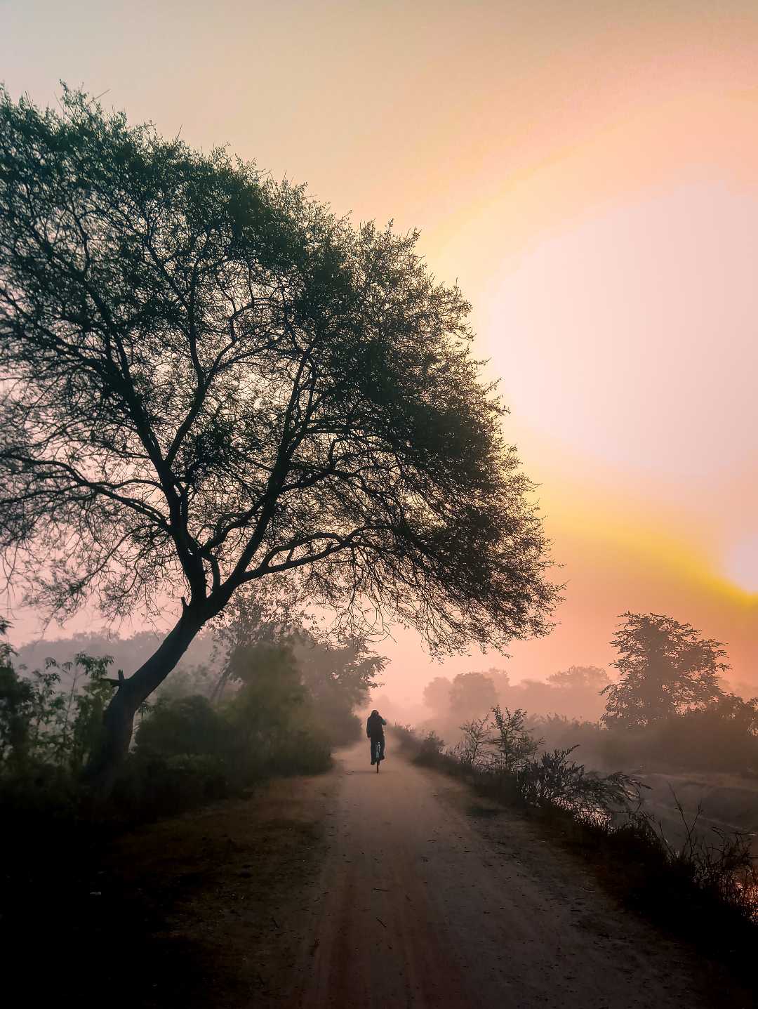 nature's everlasting beauty thats never fade. 
