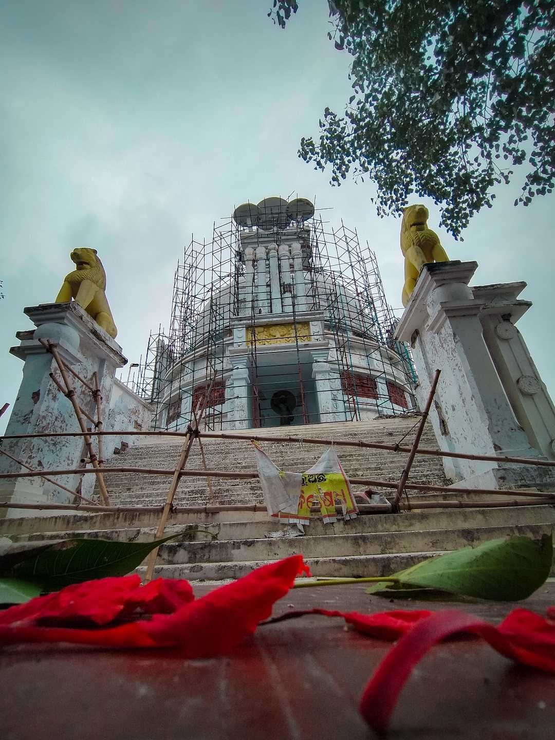 Dhauli Shanti Stupa ❤️