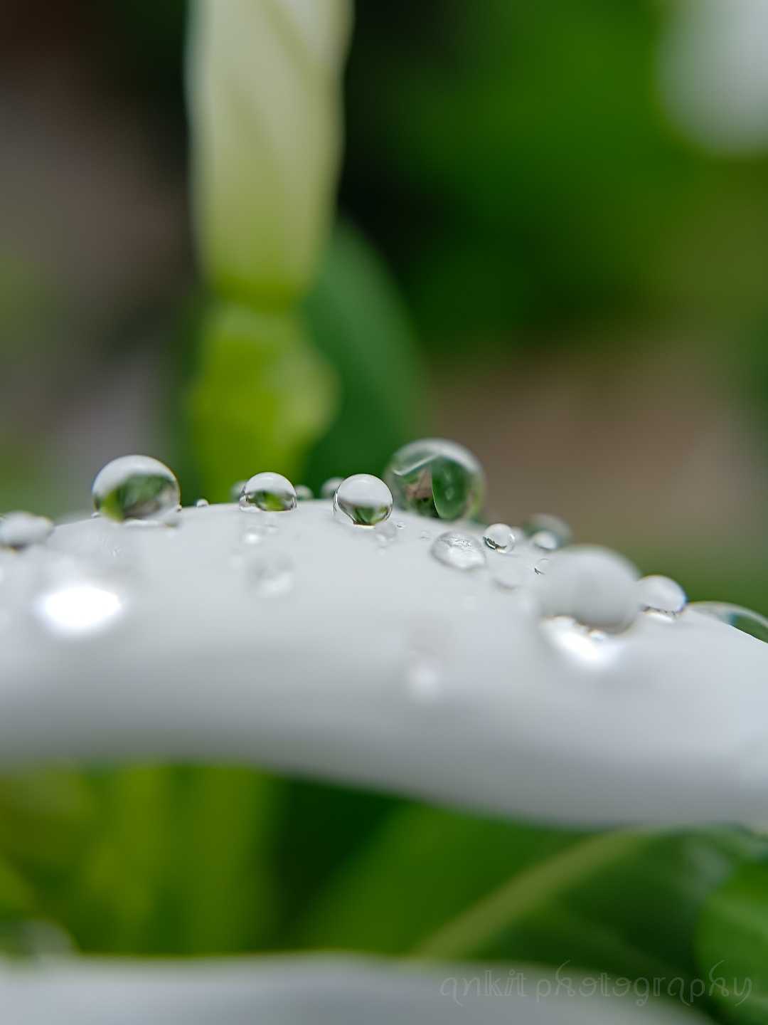 A whole different world inside every drop 💧🌍