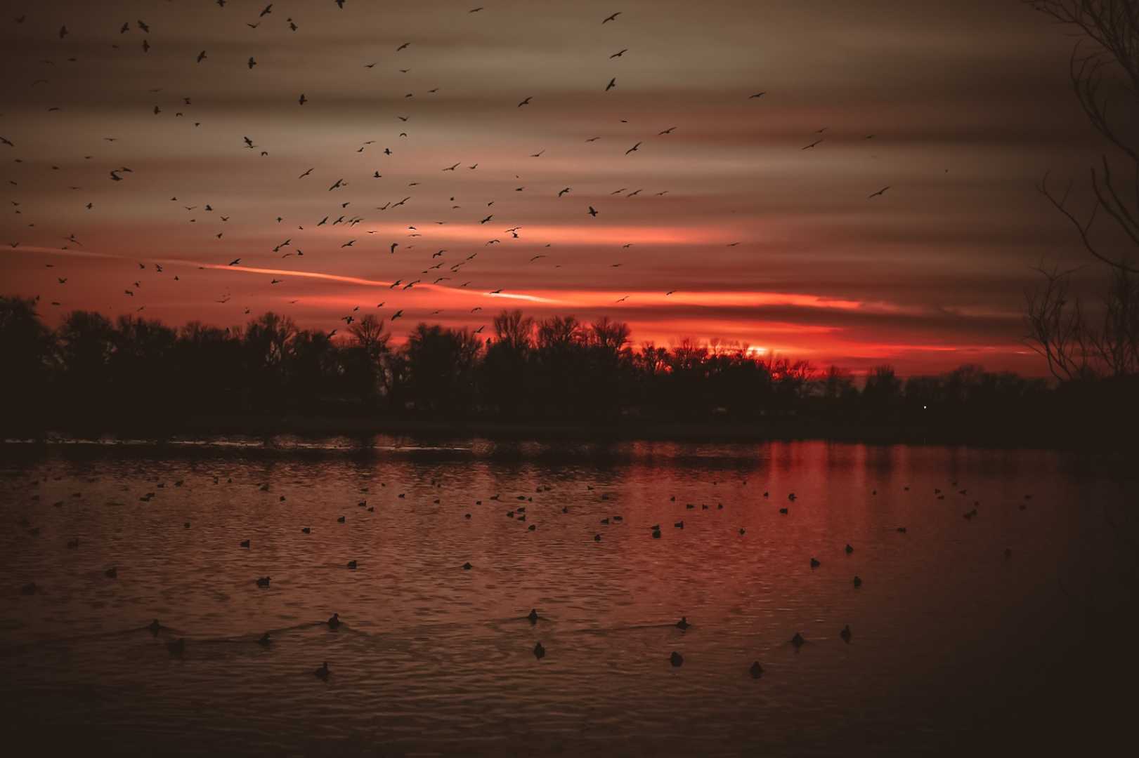 winter sunset