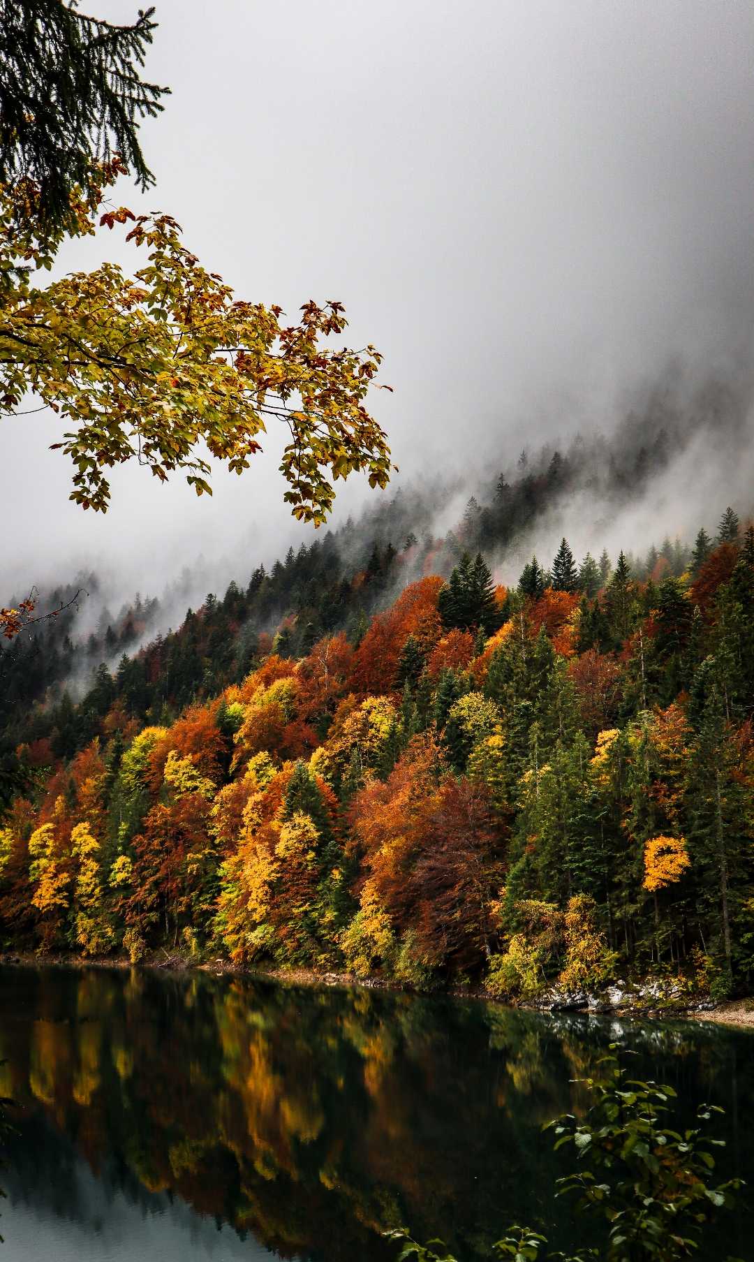 Autumn is comming 🍃