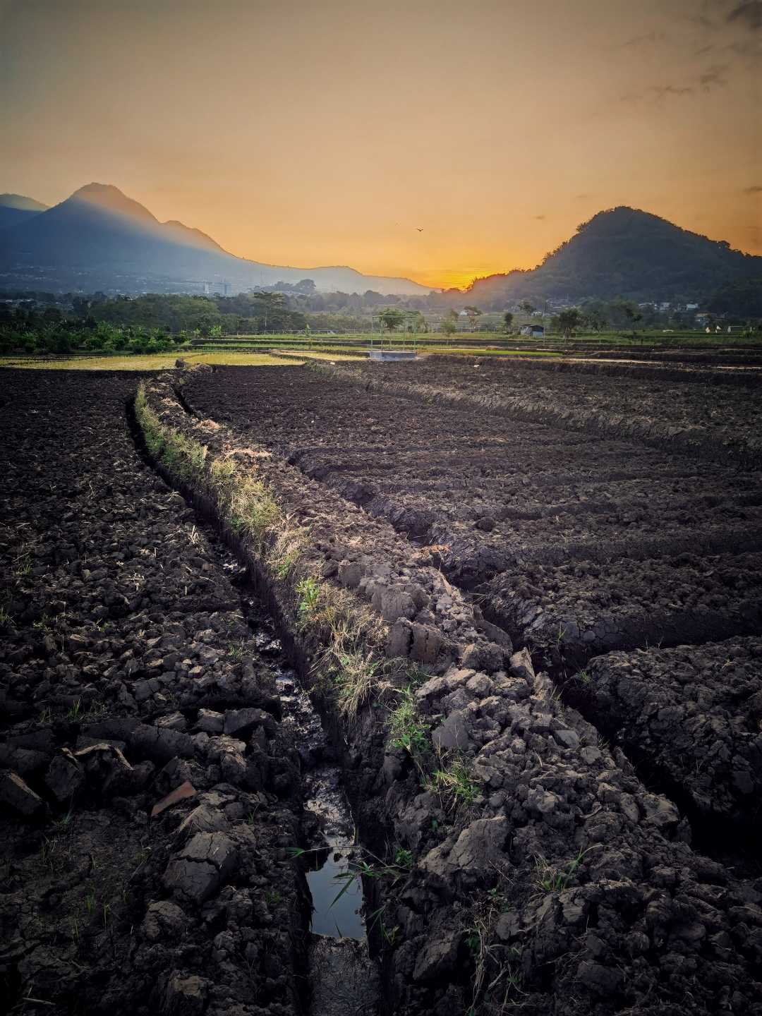 menjelang mentari terbenam