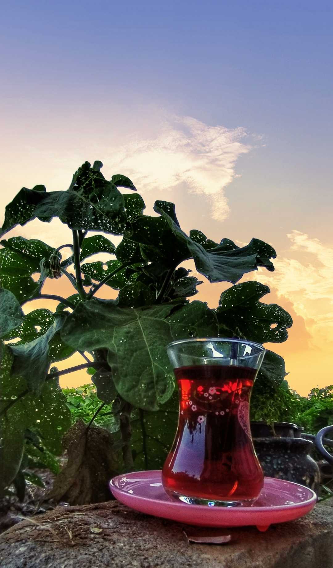 #gardentea