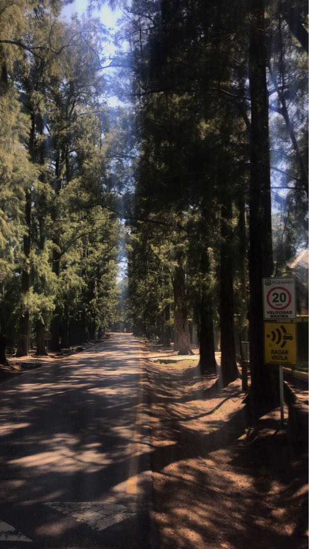 Parque Leloir🌲