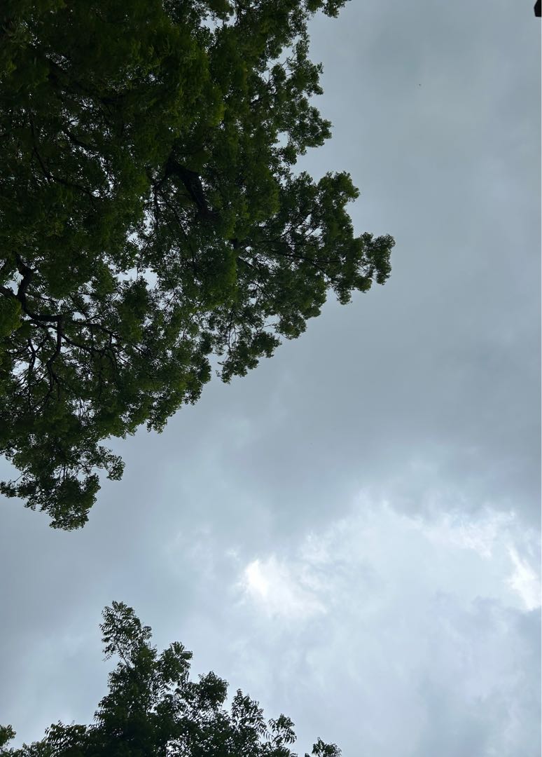 A rainy day