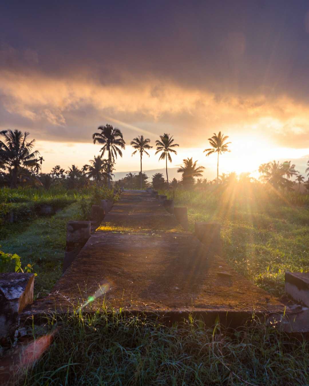 golden hour