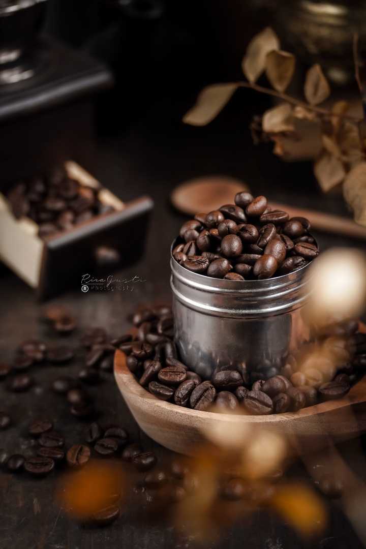Biji Kopi