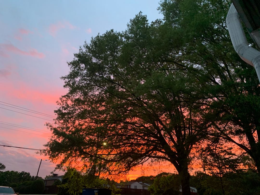 atardeceres