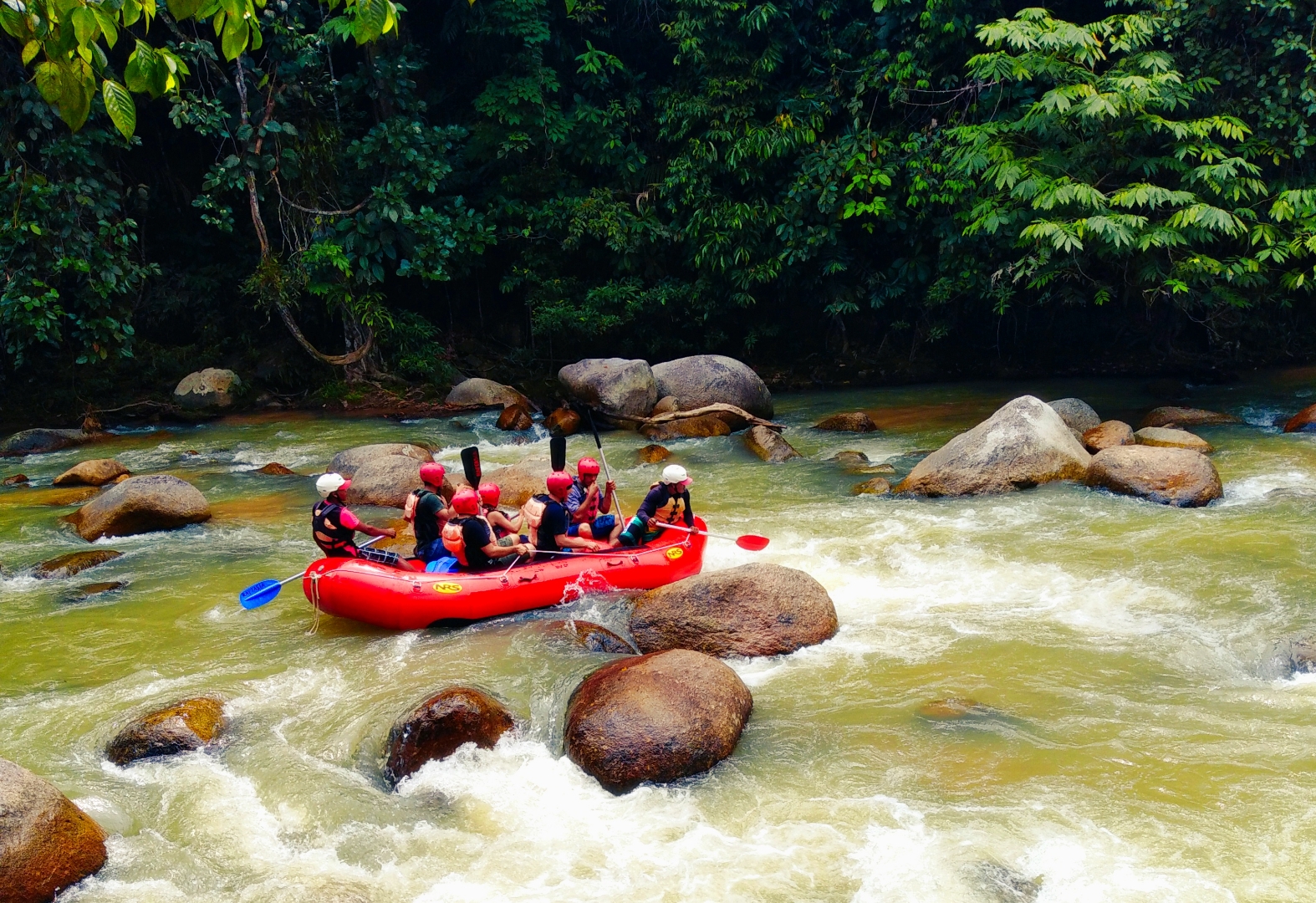 Weekend Activities 
