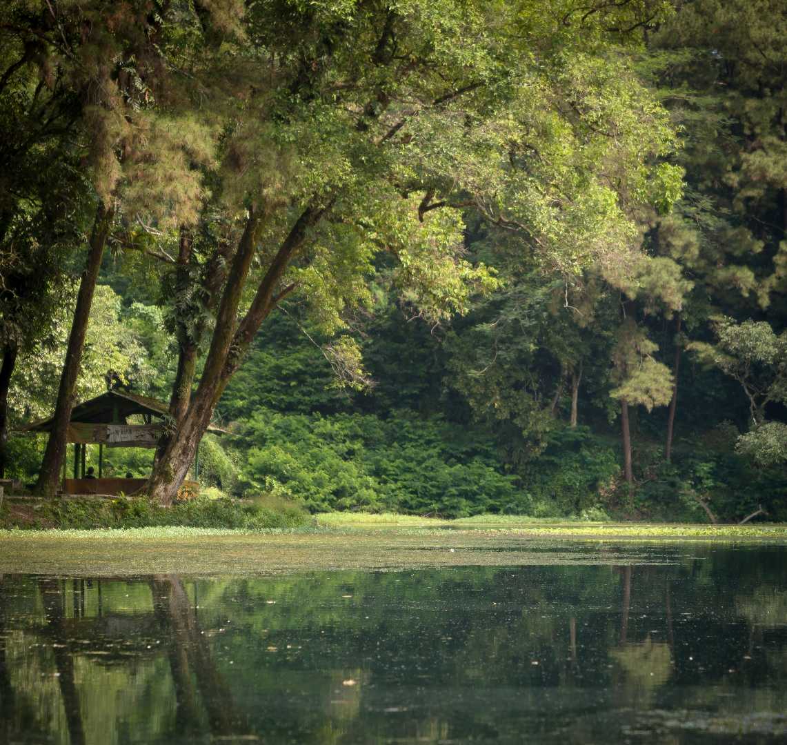 Telaga Remis