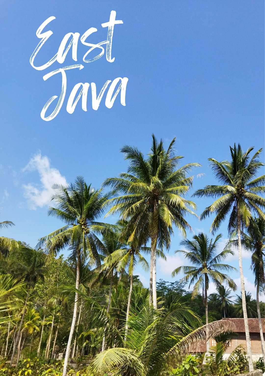 Beauty of East Java