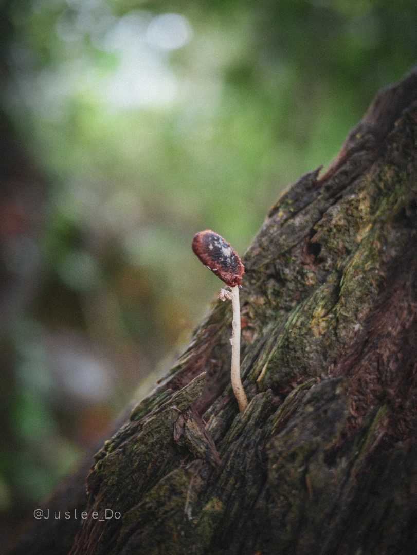 to survive