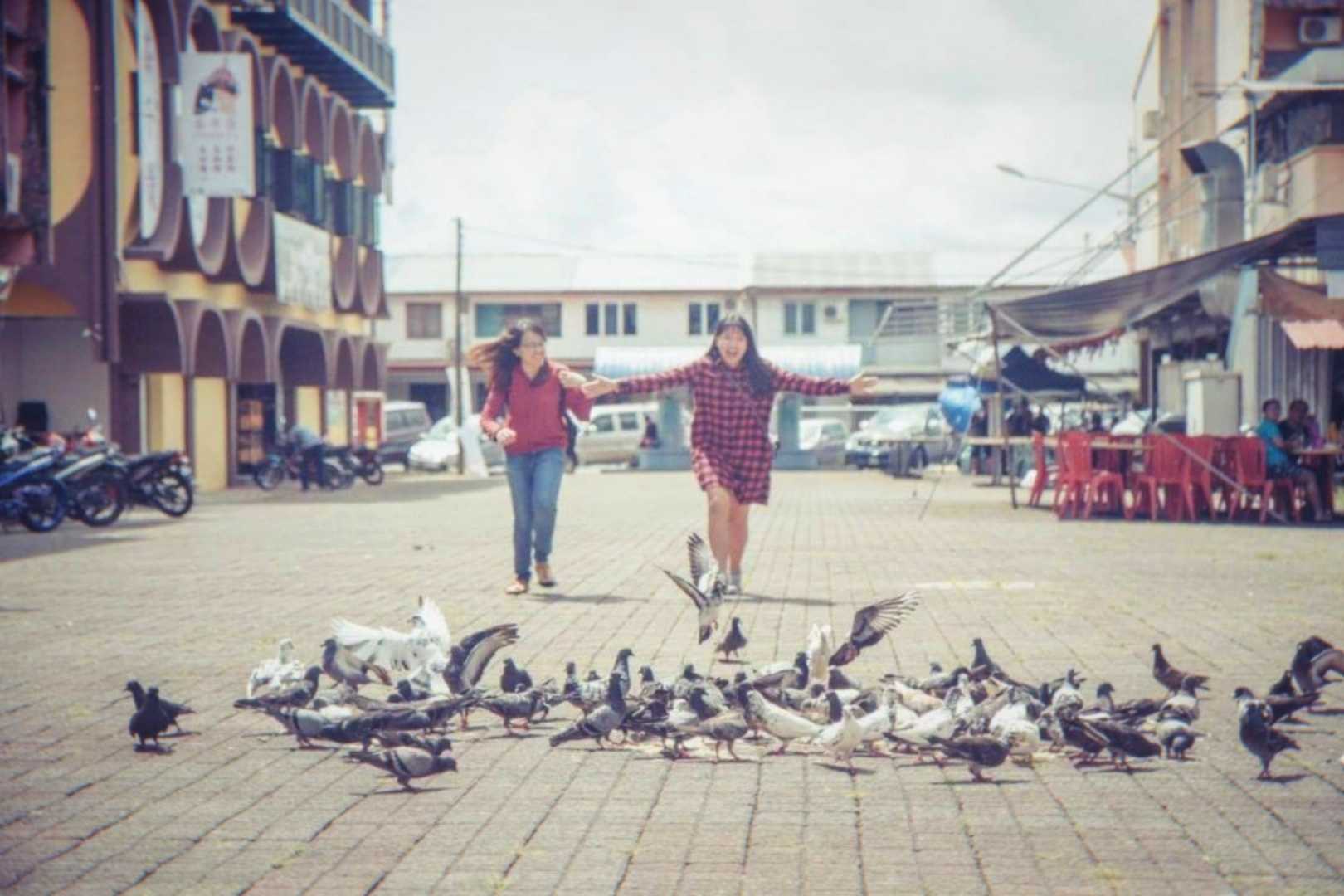 • Chasing Pigeons I •