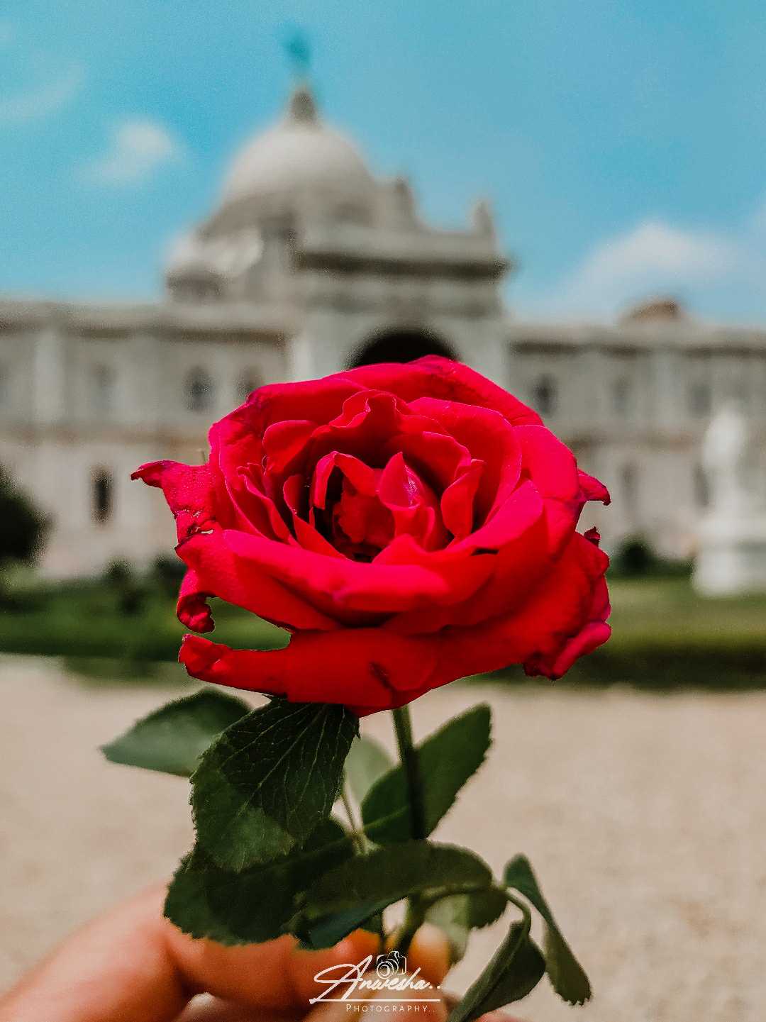 Kolkata : The City of joy❤