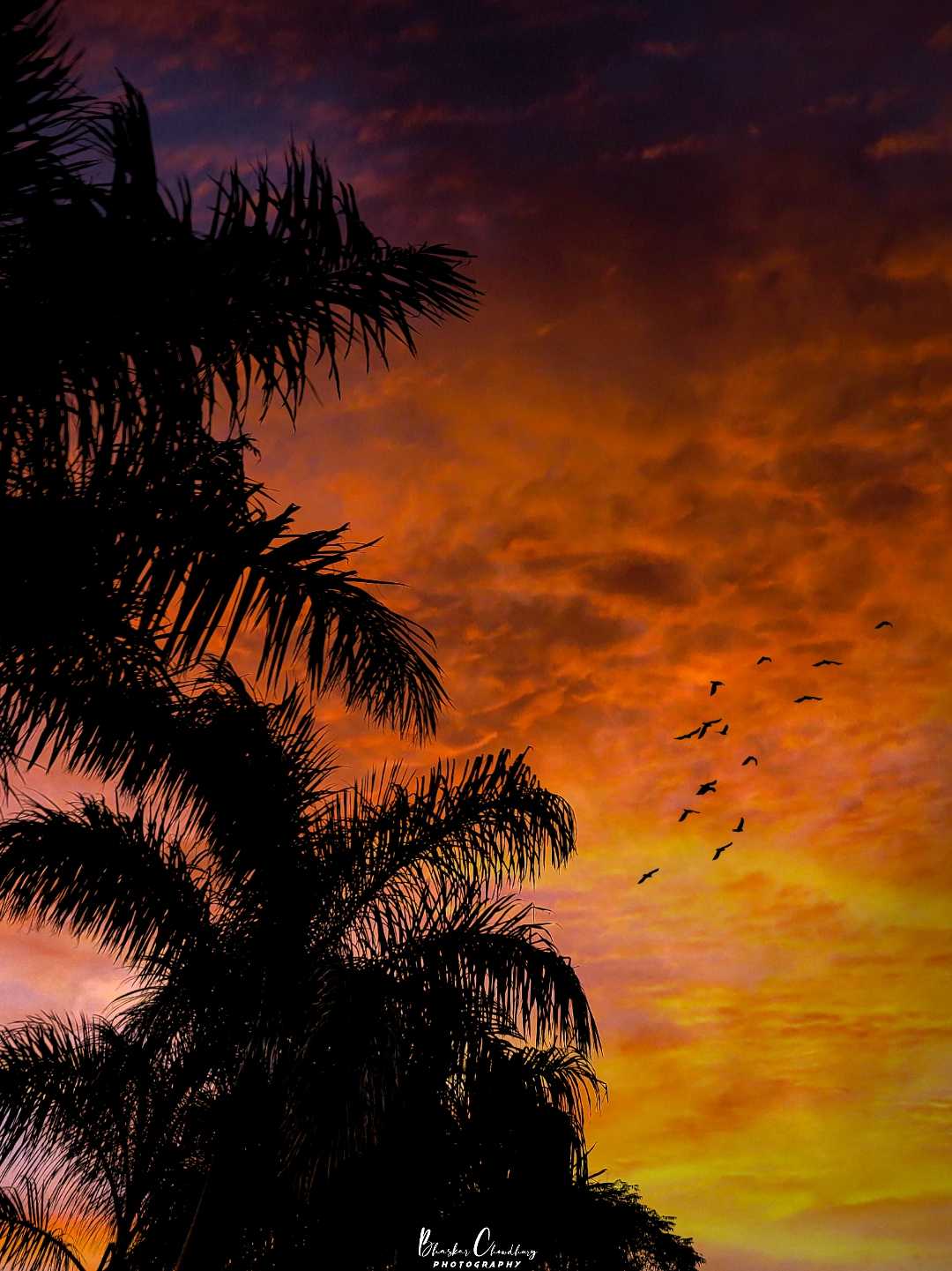 Sunset Vibe 🥰