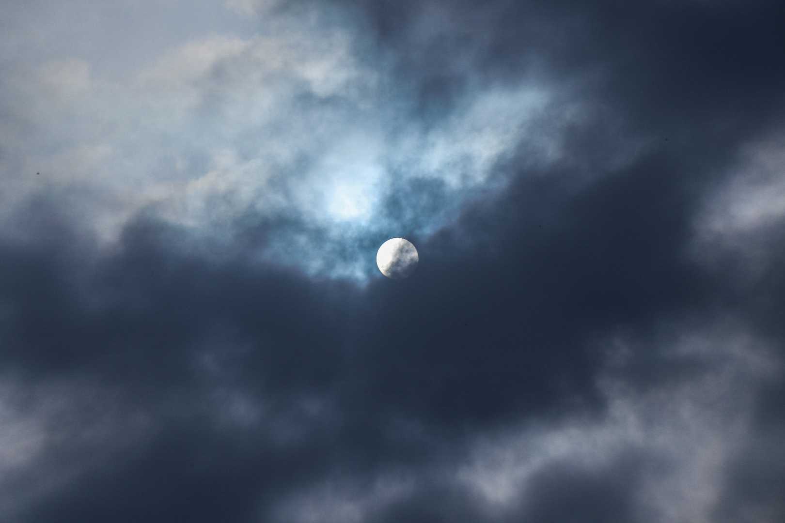 morning sun 