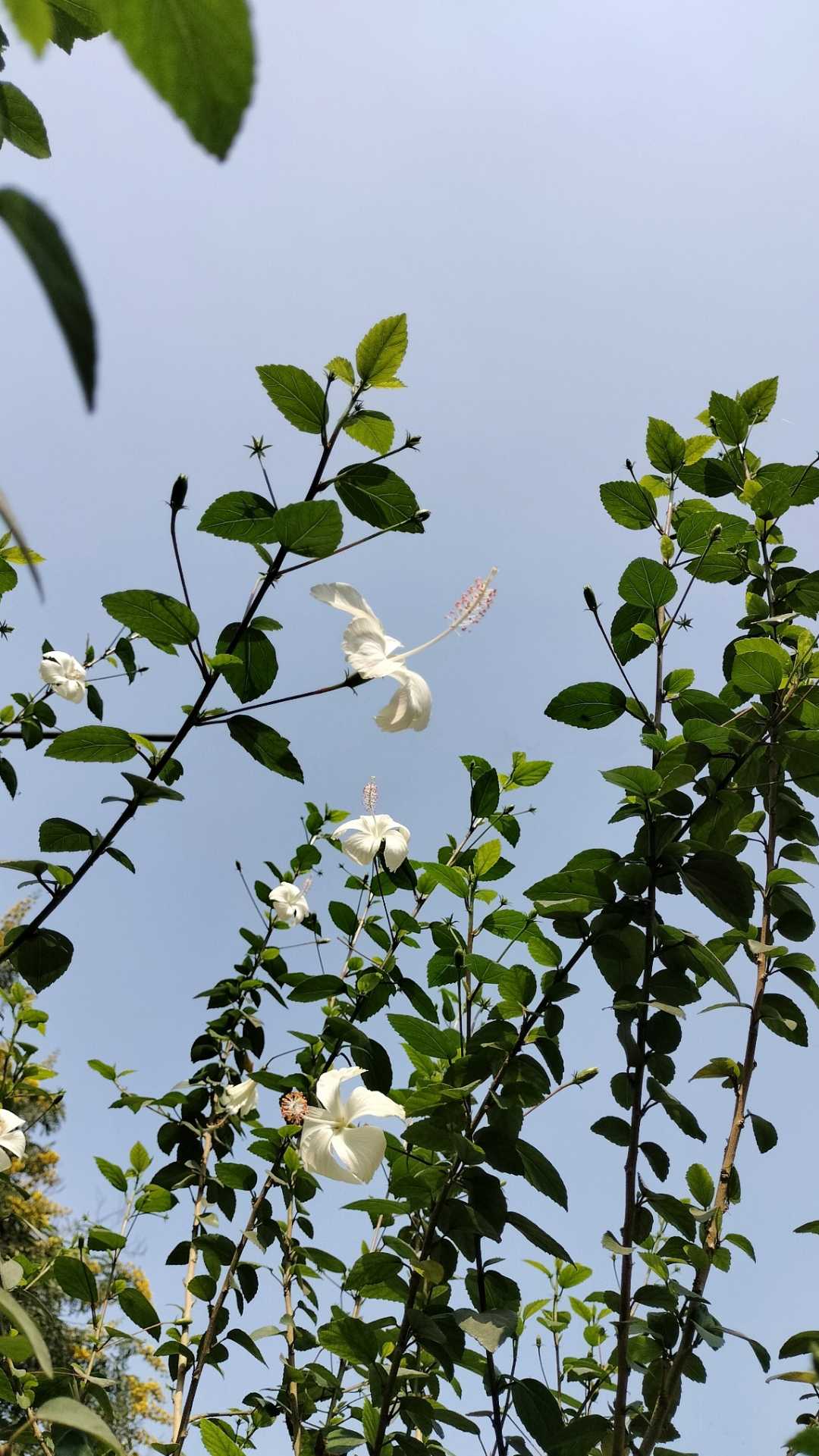 have a beautiful morning 