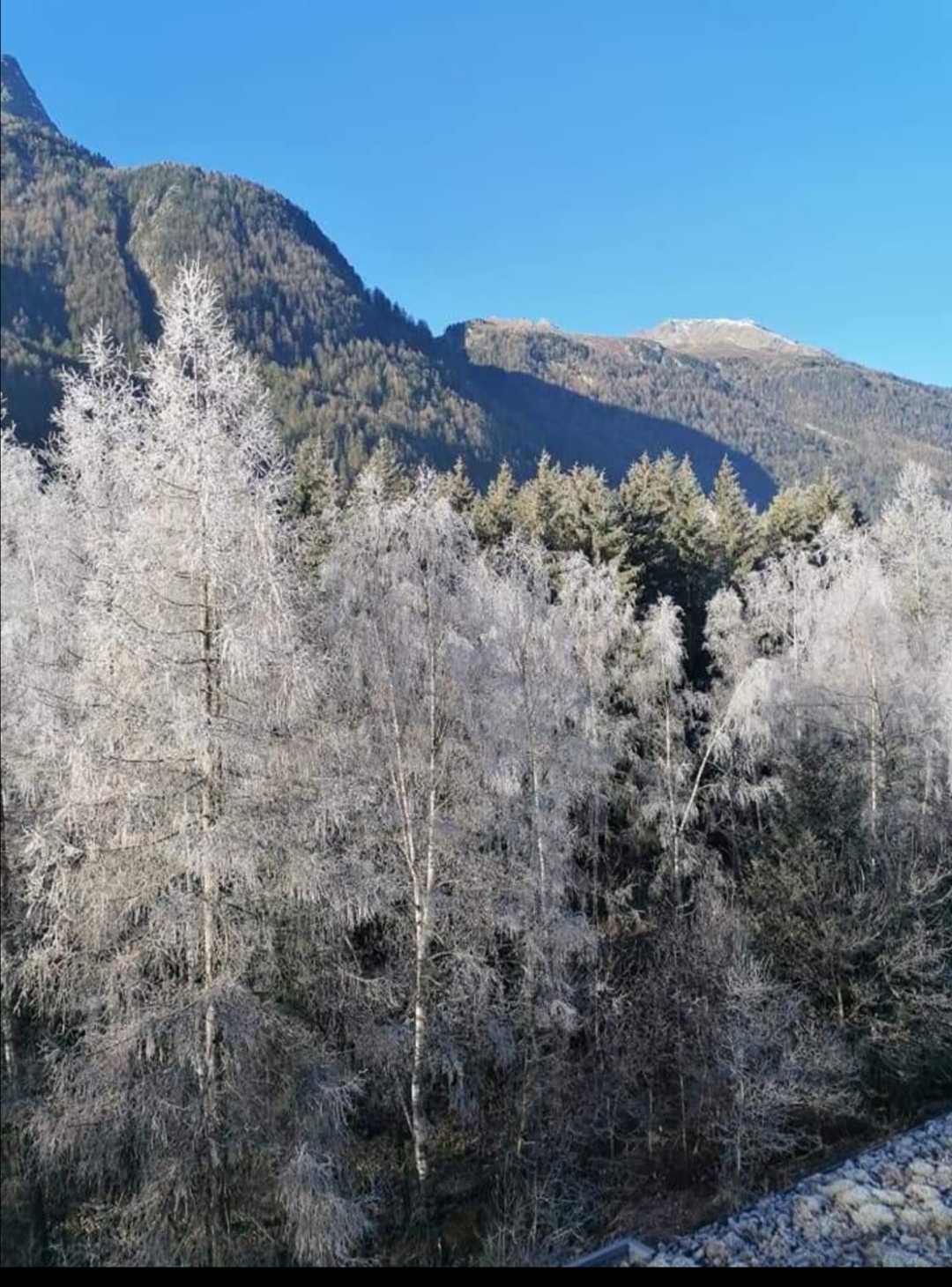 🏔️😊