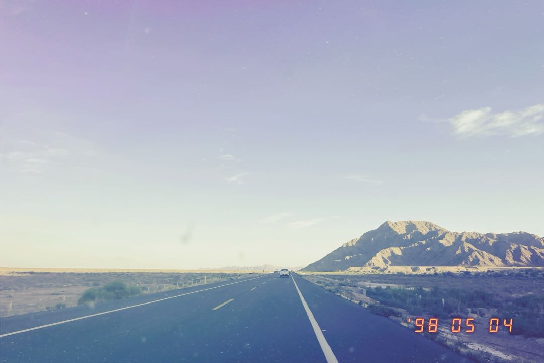 🦂🏜️