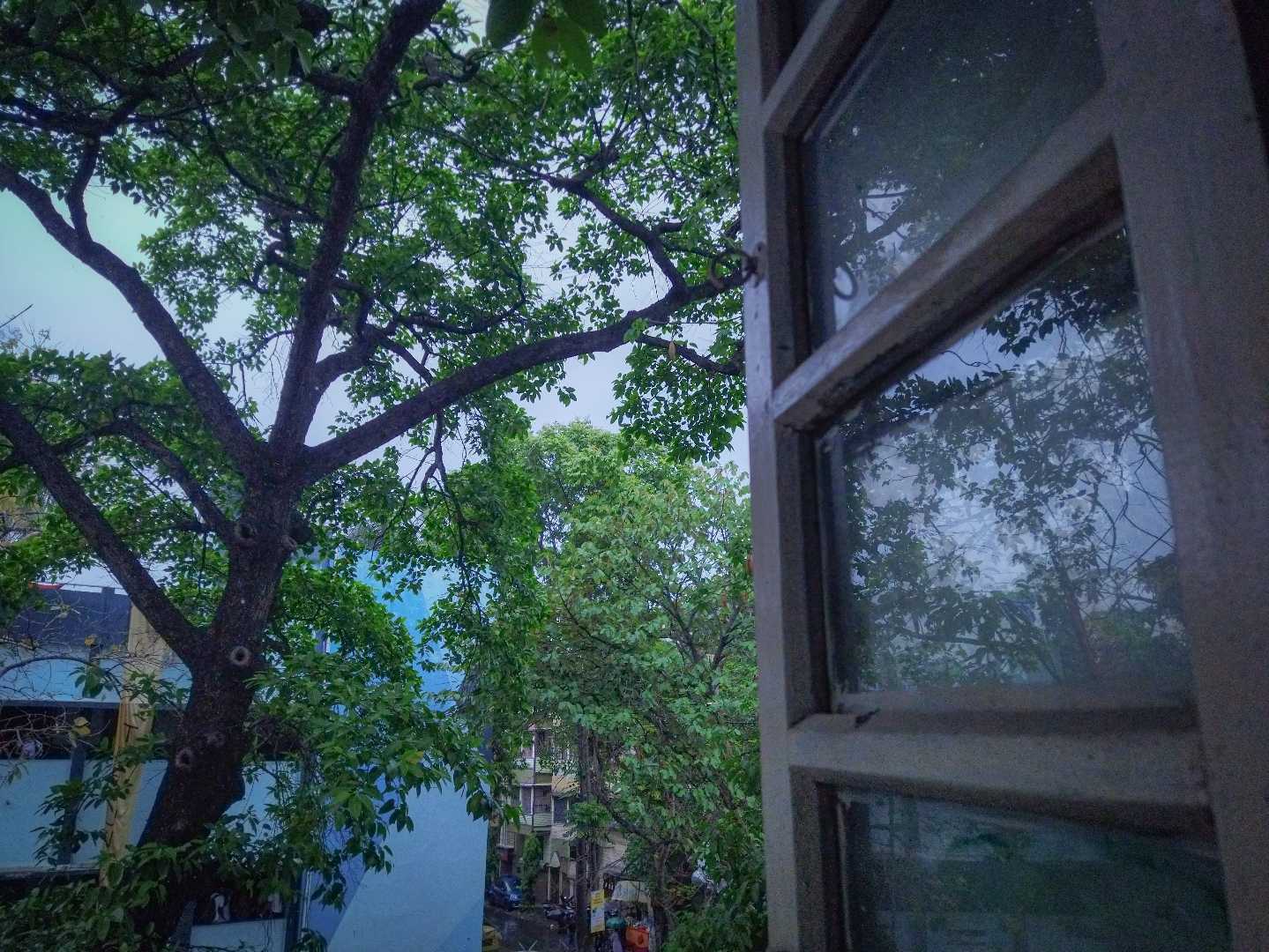 A Peaceful Weather ❤️