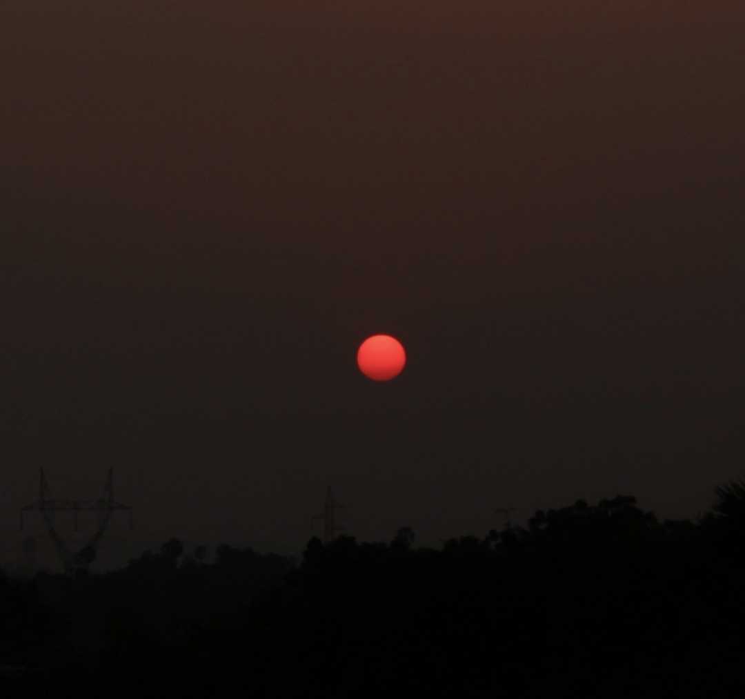 Redsun🌞