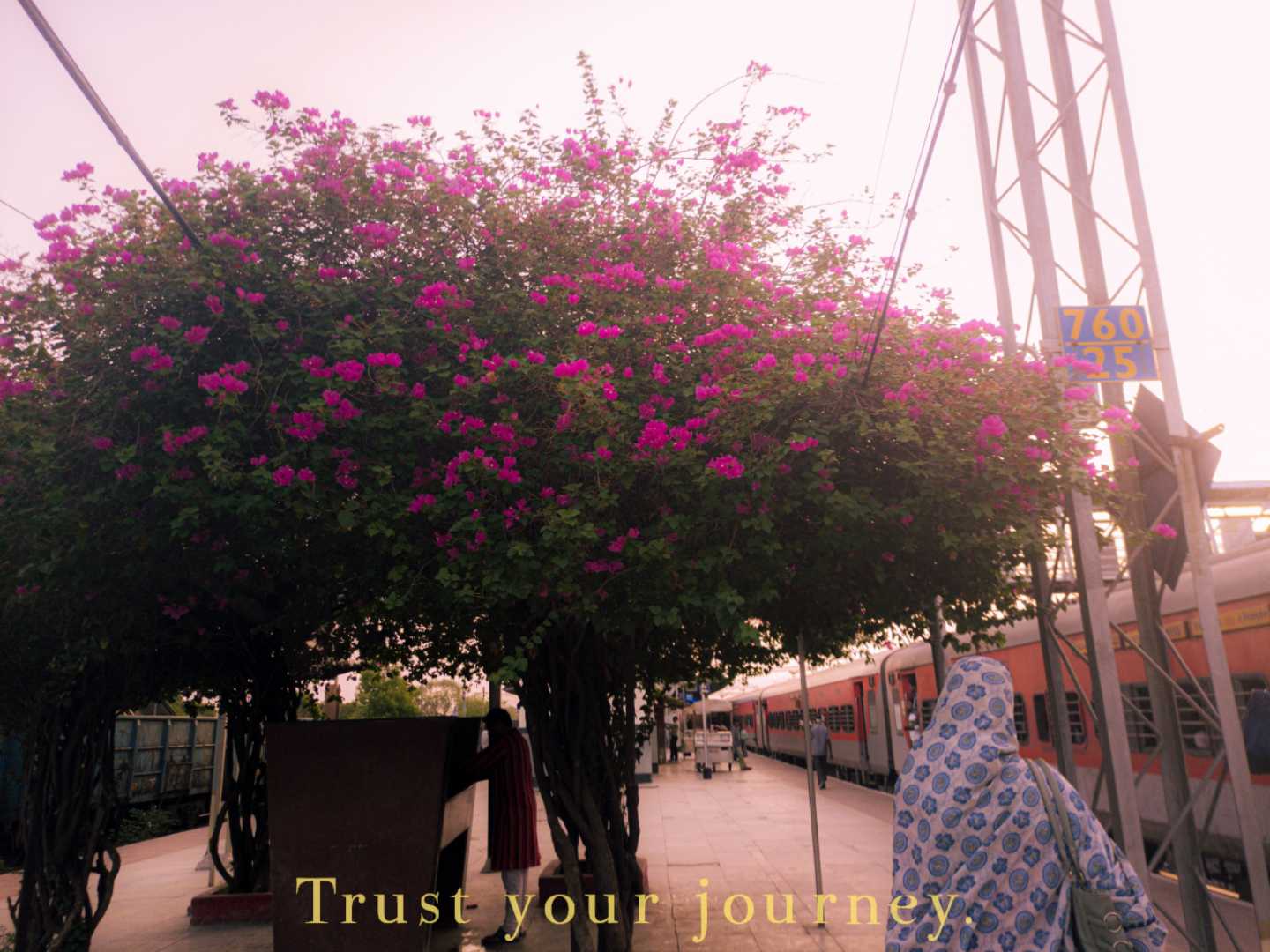 Trust your journey 🌸