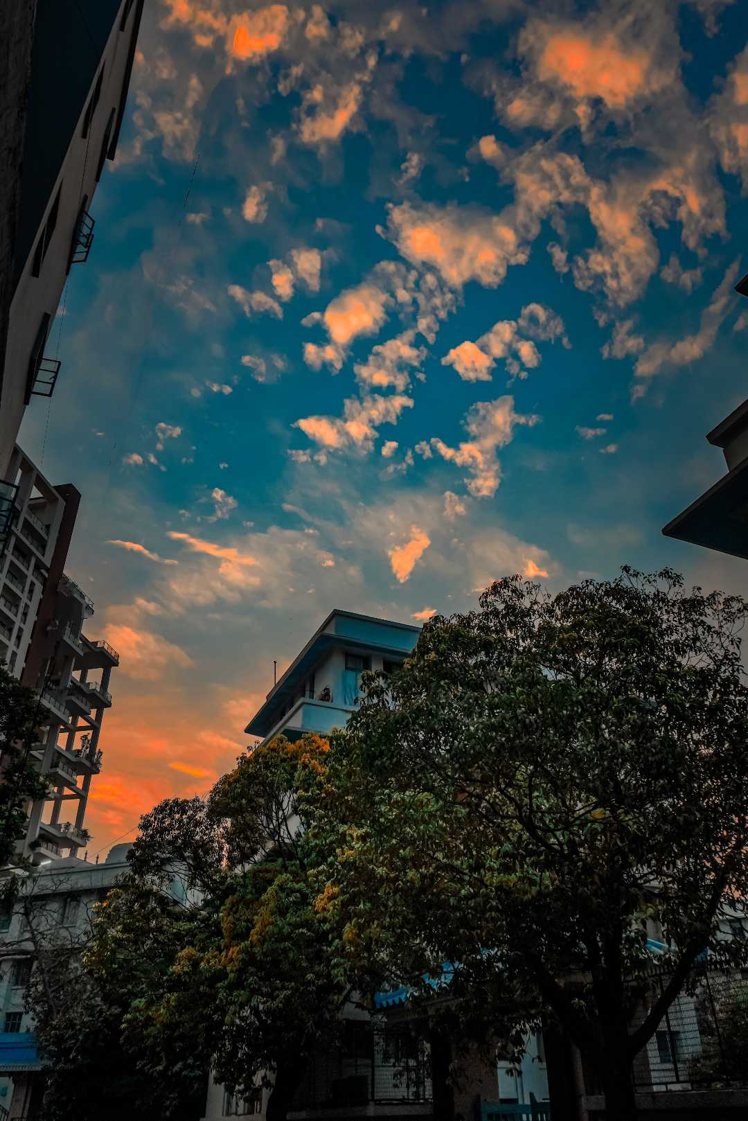 Fiery sunset 🌇
