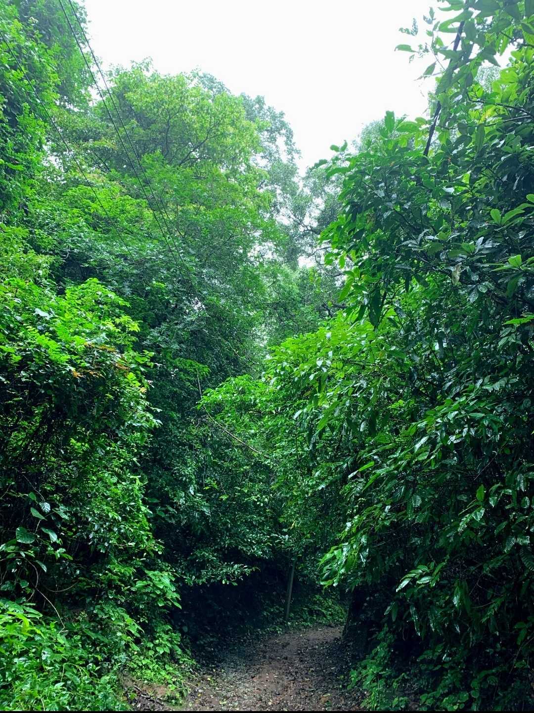 hiking trail