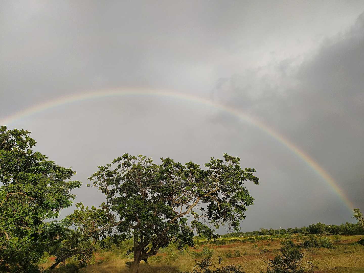 Rainbow