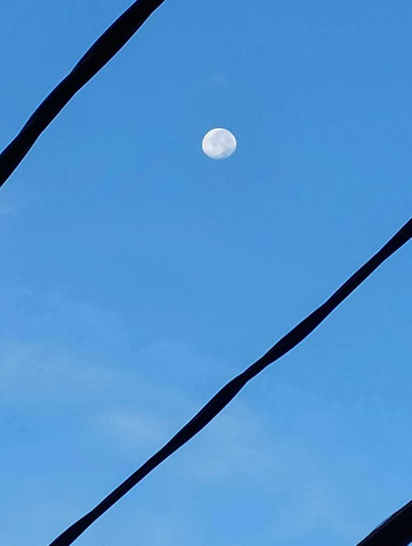Moon in the morning
