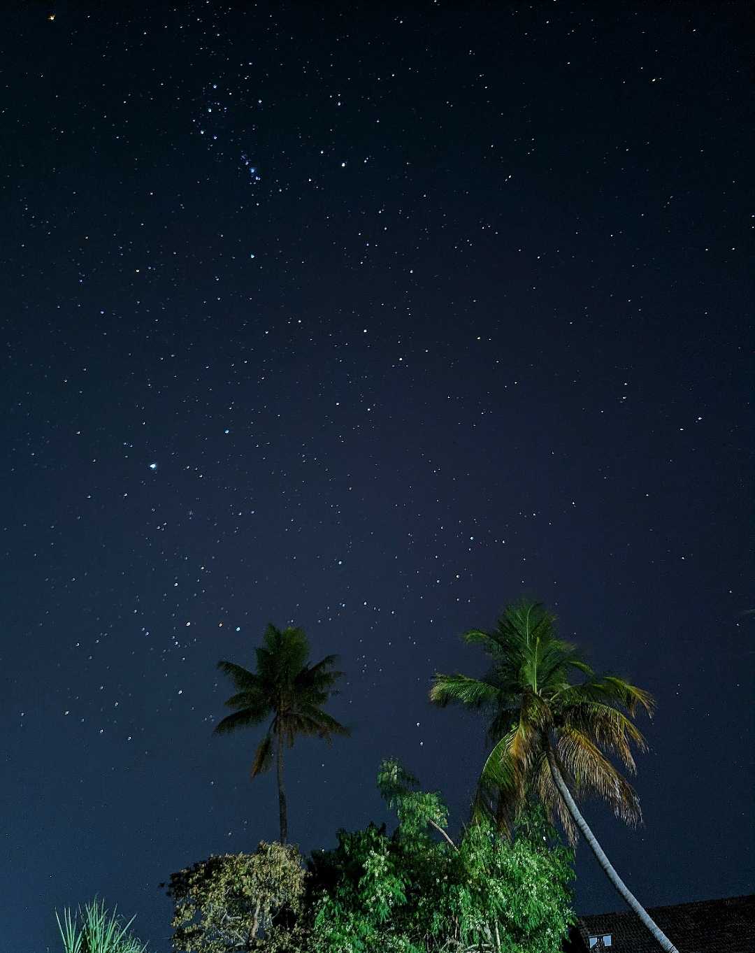 Stargazing ✨