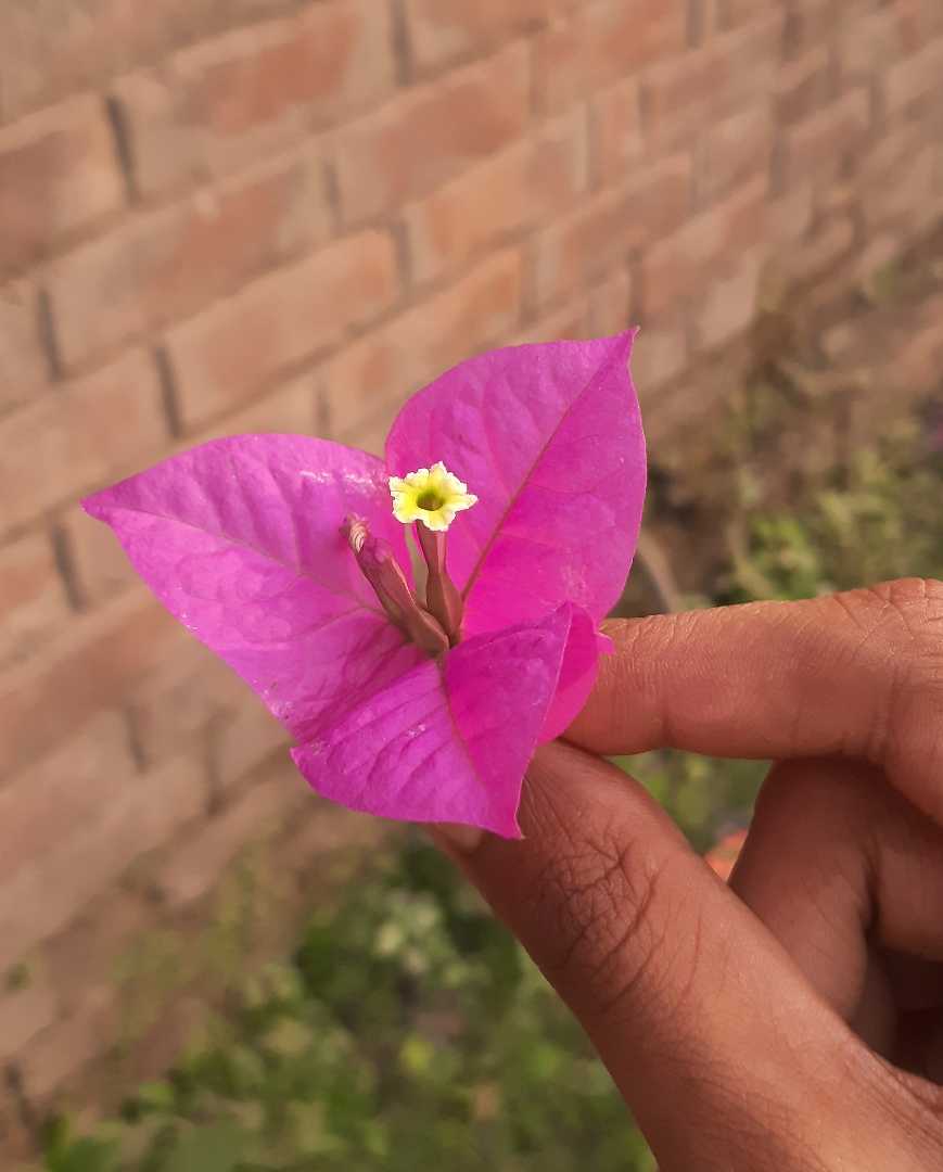 Spring is here 